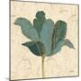 Muted Teal Tulip 2-Diane Stimson-Mounted Art Print