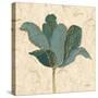 Muted Teal Tulip 2-Diane Stimson-Stretched Canvas
