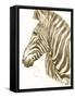 Muted Zebra-Patricia Pinto-Framed Stretched Canvas