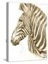 Muted Zebra-Patricia Pinto-Stretched Canvas