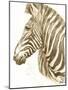 Muted Zebra-Patricia Pinto-Mounted Art Print