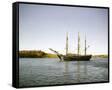 Canvas Black