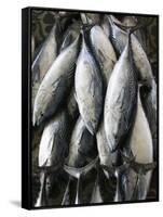 Mutrah Fish Market, Mutrah, Muscat, Oman-Walter Bibikow-Framed Stretched Canvas