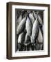 Mutrah Fish Market, Mutrah, Muscat, Oman-Walter Bibikow-Framed Photographic Print