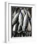 Mutrah Fish Market, Mutrah, Muscat, Oman-Walter Bibikow-Framed Photographic Print