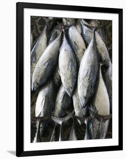 Mutrah Fish Market, Mutrah, Muscat, Oman-Walter Bibikow-Framed Photographic Print