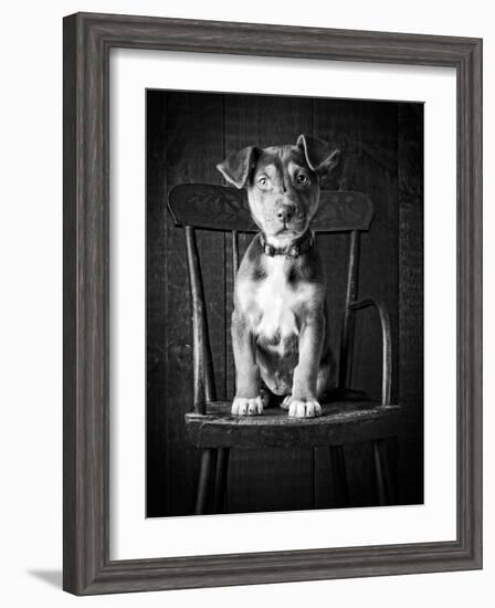 Mutt Black & White-Edward M. Fielding-Framed Photographic Print