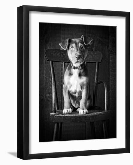 Mutt Black & White-Edward M. Fielding-Framed Photographic Print