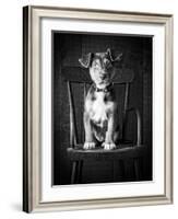 Mutt Black & White-Edward M. Fielding-Framed Photographic Print