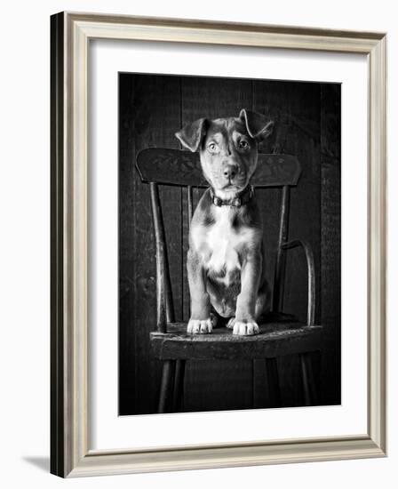 Mutt Black & White-Edward M. Fielding-Framed Photographic Print