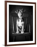 Mutt Black & White-Edward M. Fielding-Framed Photographic Print