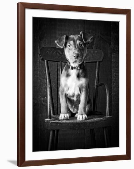 Mutt Black & White-Edward M. Fielding-Framed Photographic Print