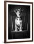 Mutt Black & White-Edward M. Fielding-Framed Photographic Print