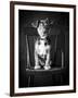 Mutt Black & White-Edward M. Fielding-Framed Photographic Print