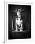 Mutt Black & White-Edward M. Fielding-Framed Photographic Print