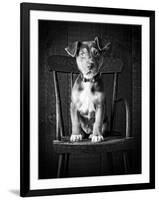 Mutt Black & White-Edward M. Fielding-Framed Photographic Print