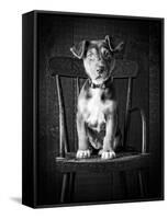 Mutt Black & White-Edward M. Fielding-Framed Stretched Canvas