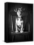 Mutt Black & White-Edward M. Fielding-Framed Stretched Canvas