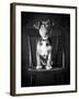 Mutt Black & White-Edward M. Fielding-Framed Photographic Print