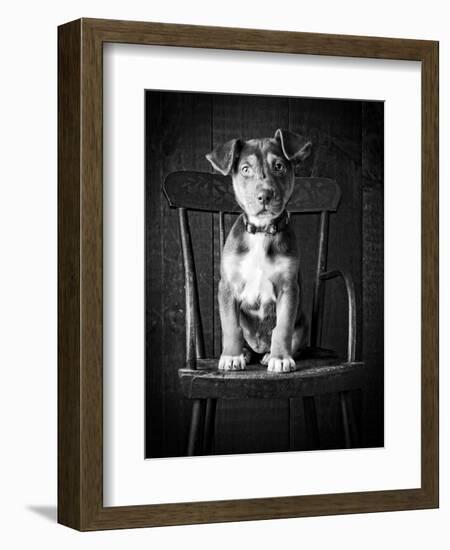 Mutt Black & White-Edward M. Fielding-Framed Photographic Print