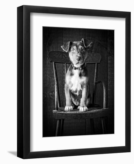 Mutt Black & White-Edward M. Fielding-Framed Photographic Print