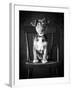 Mutt Black & White-Edward M. Fielding-Framed Premium Photographic Print