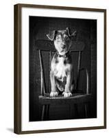 Mutt Black & White-Edward M. Fielding-Framed Premium Photographic Print