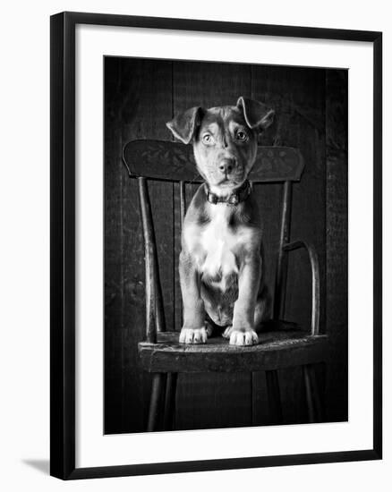 Mutt Black & White-Edward M. Fielding-Framed Premium Photographic Print