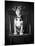 Mutt Black & White-Edward M. Fielding-Mounted Premium Photographic Print