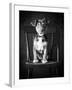 Mutt Black & White-Edward M. Fielding-Framed Photographic Print