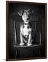 Mutt Black & White-Edward M. Fielding-Framed Photographic Print