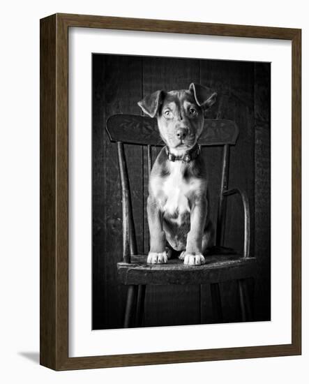 Mutt Black & White-Edward M. Fielding-Framed Photographic Print