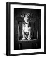 Mutt Black & White-Edward M. Fielding-Framed Photographic Print