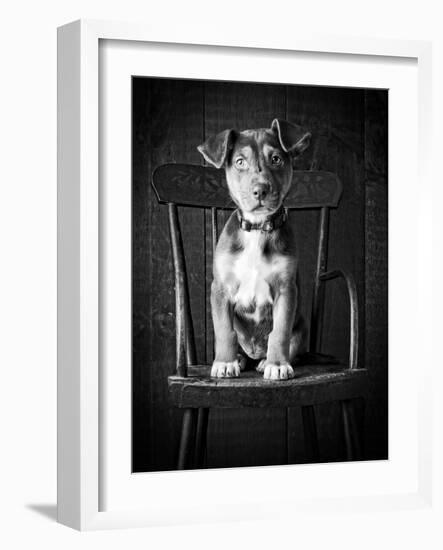 Mutt Black & White-Edward M. Fielding-Framed Photographic Print