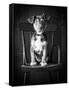 Mutt Black & White-Edward M. Fielding-Framed Stretched Canvas