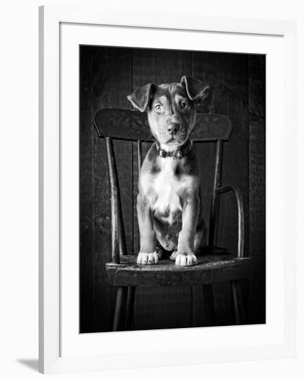 Mutt Black & White-Edward M. Fielding-Framed Photographic Print