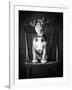 Mutt Black & White-Edward M. Fielding-Framed Photographic Print