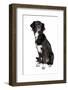 Mutt-Fabio Petroni-Framed Photographic Print