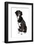 Mutt-Fabio Petroni-Framed Photographic Print