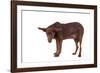 Mutt-Fabio Petroni-Framed Photographic Print