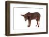 Mutt-Fabio Petroni-Framed Photographic Print