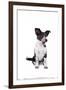 Mutt-Fabio Petroni-Framed Photographic Print