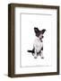 Mutt-Fabio Petroni-Framed Photographic Print