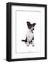 Mutt-Fabio Petroni-Framed Photographic Print