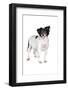 Mutt-Fabio Petroni-Framed Photographic Print