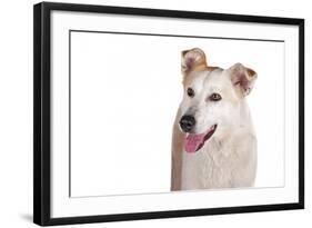 Mutt-Fabio Petroni-Framed Photographic Print