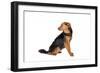 Mutt-Fabio Petroni-Framed Photographic Print