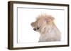 Mutt-Fabio Petroni-Framed Photographic Print