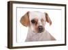 Mutt-Fabio Petroni-Framed Photographic Print