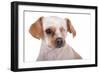 Mutt-Fabio Petroni-Framed Photographic Print